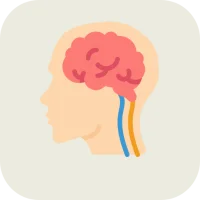 Nervous System Physiology